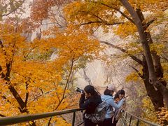 -北京密云天门山风景区