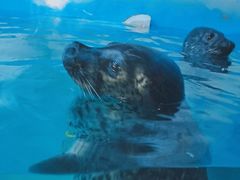 -多彩贵州城极地海洋世界