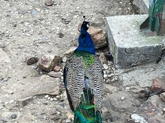 -南京金牛湖风景区