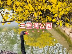 -三里河公园