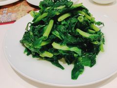清炒豆苗-鼎泰丰(渔阳店)