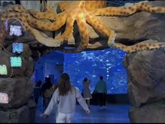 -多彩贵州城极地海洋世界