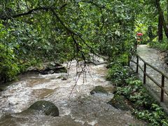 -莫里热带雨林景区