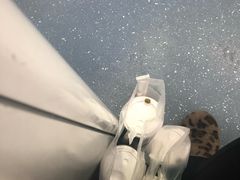 -叶子与茶(苏宁广场店)