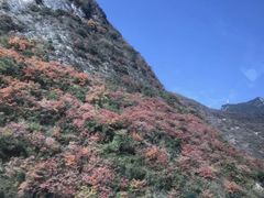 -秦岭风景区