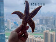 -Social 秀西餐厅-长沙瑞吉酒店(运达店)