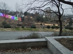 -大塘金香草谷
