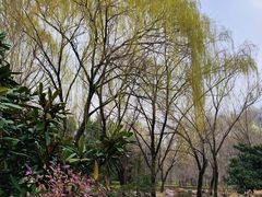 -郑州植物园