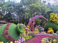 -杭州植物园