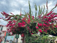 -三亚西岛海洋文化旅游区