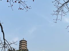 -深圳国际园林花卉博览园