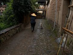 -杨家堂村