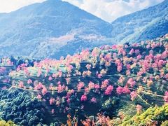 -无量山自然风景保护区