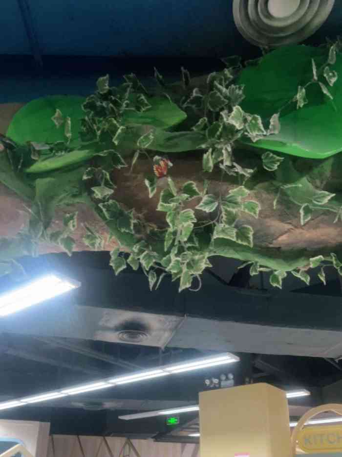 木马王国(杭州天虹店)-"孩子的乐园~也有很多抓娃娃机什么的那是大.