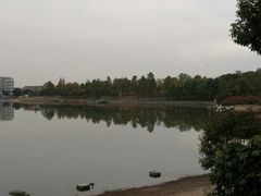 -美兰湖景区