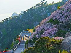 -泰山风景名胜区