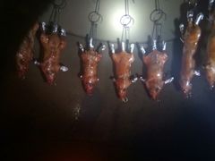 吊烧爱大米-阿鸟农庄(石壁店)