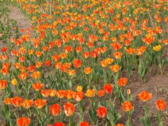 -廊坊文化艺术中心