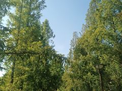 -元大都城垣遗址公园