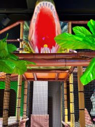 -奇幻丛林(佛罗伦萨小镇店)