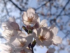 -滆湖低碳生态公园