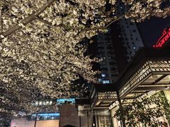 -玛格萝妮比萨屋(四平店)