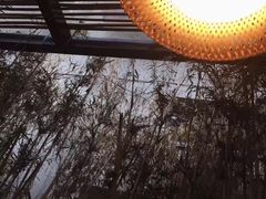 -周三的情书花园餐厅(江北店)