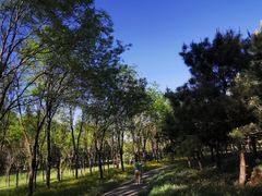 -东郊湿地公园