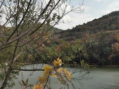 -白马涧龙池景区
