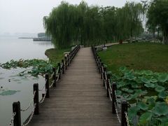-武清南湖绿博园