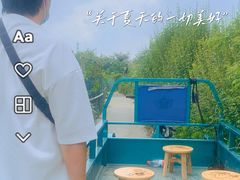 -南汇水蜜桃采摘(大团店)