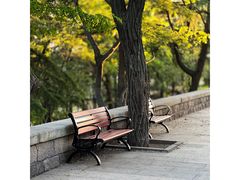 -观象山公园