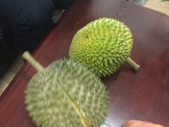 -三叔公