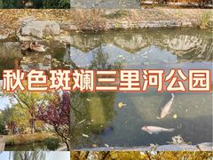 -三里河公园