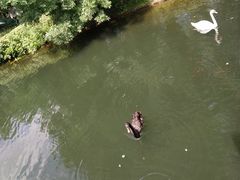 -长白岛森林公园