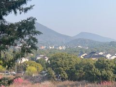 -香雪海