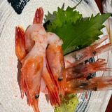 喜歡吃壽司🍣可以看看