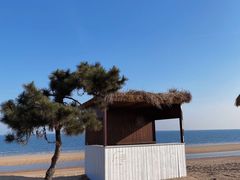 -巧克力渔家.小船海鲜家常菜(万平口店)