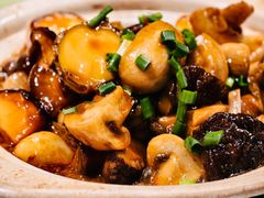 菌菇烧鲍鱼-大明王朝·南京菜(墨香路店)