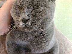 -猫和宫(六道口店)