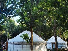 -九十九顶毡房(阜石路店)