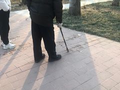-仁和公园(顺义区)