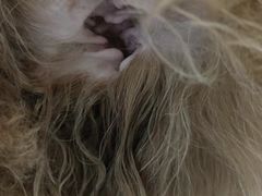 -关爱动物医院·心脏·中兽医·异宠(金牛路分院)