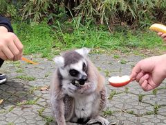 -宁波野生动物园