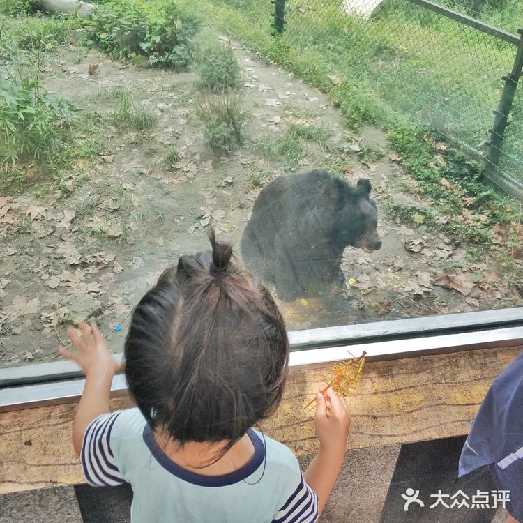 【亲子日游攻略】成都北门看动物又耍水