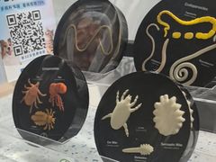 -半岛宠物医院24小时(白果林店)