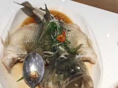 -至潮餐厅精致粤菜·活鲈鱼·走地鸡(珠江新城店)