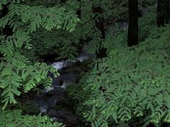 -山王坪喀斯特国家生态公园