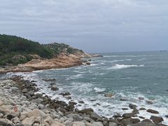 -广东惠东海龟国家级自然保护区