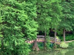 -东湖落雁景区